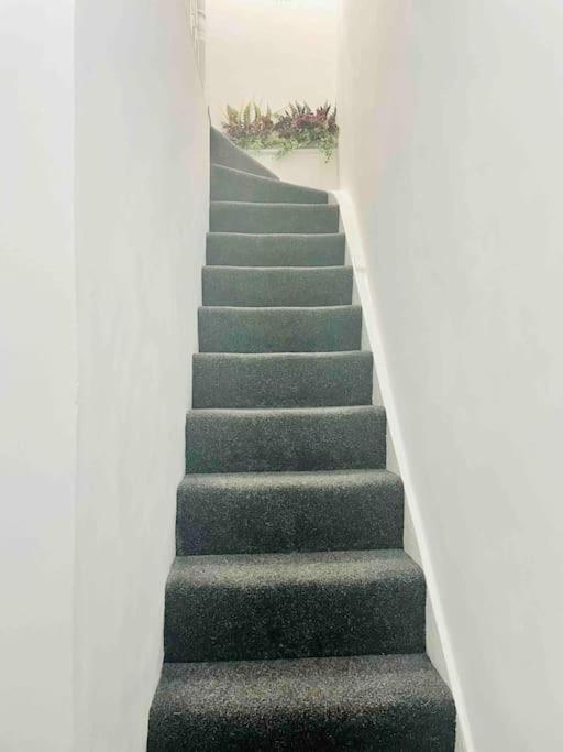 Appartement Lovely 1 Bedroom Flat+living With A Sofa Bed Londen