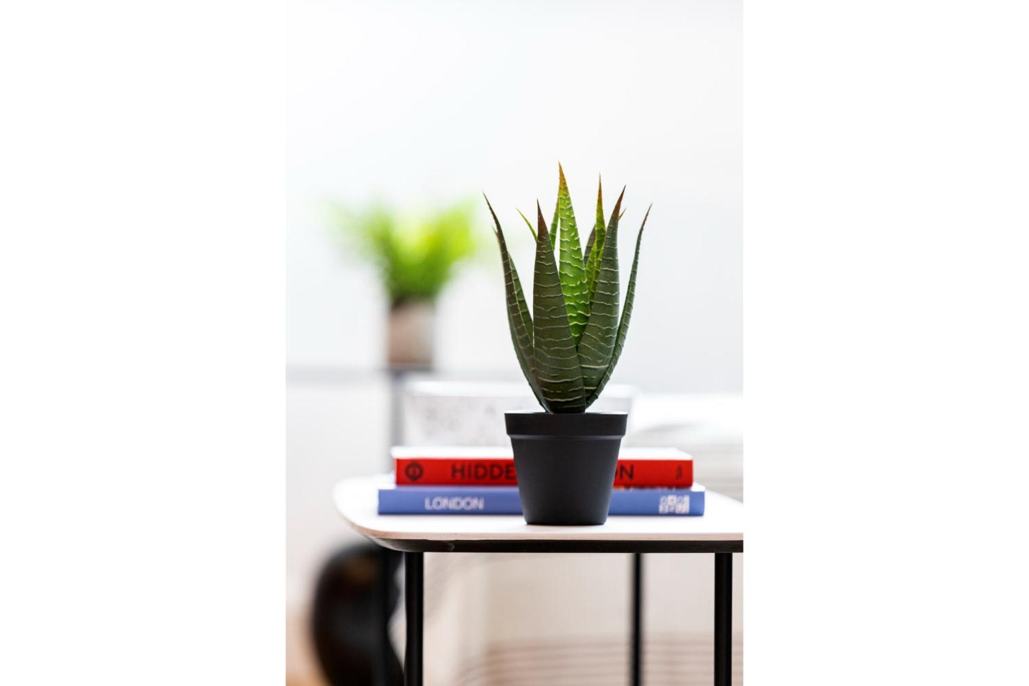 Appartement Chic: Elegant Flat In A Prime Location