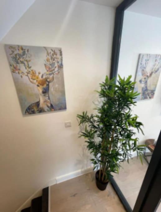 Apartment In Greater 2 Bedroom *