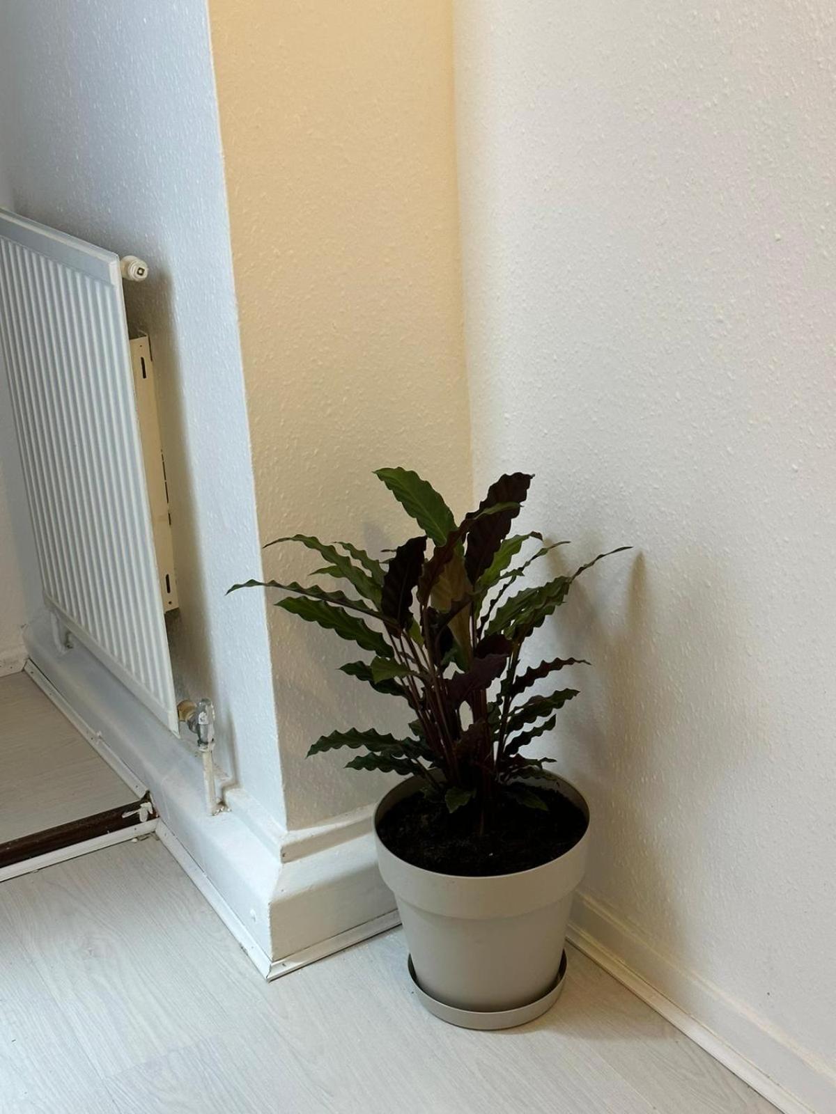 3 Bedroom King Cross Station City Centre Apartment London