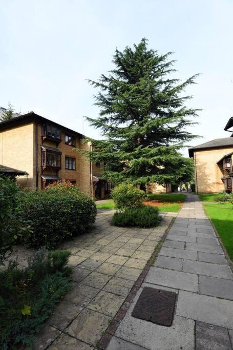 Spacious Walthamstow Londen