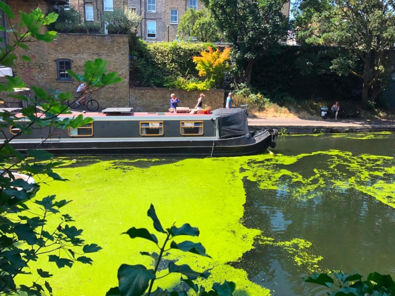 Urban Oasis With Views In Old St * London
