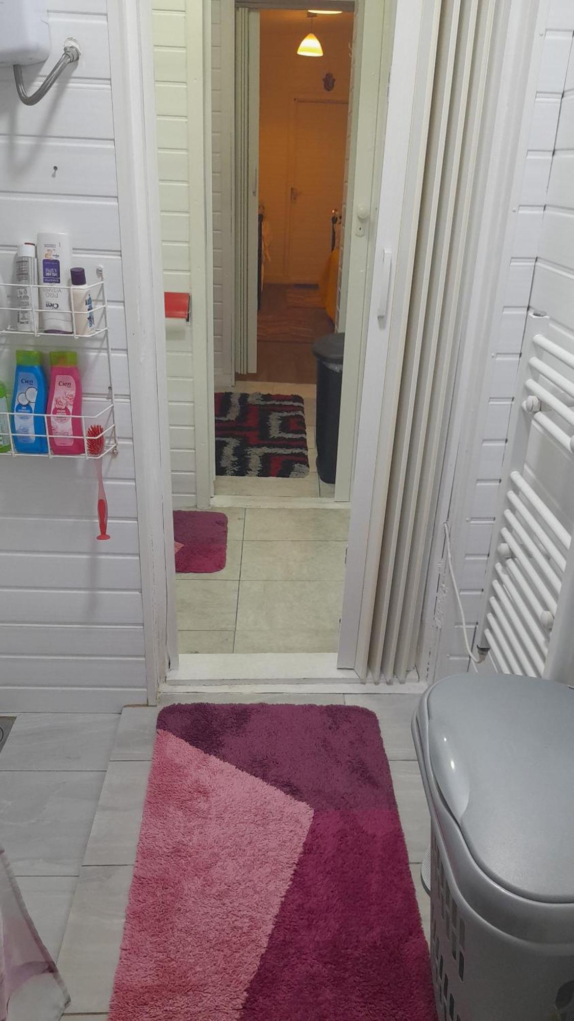Apartment Private Extension With Bathroom And Kitchen London