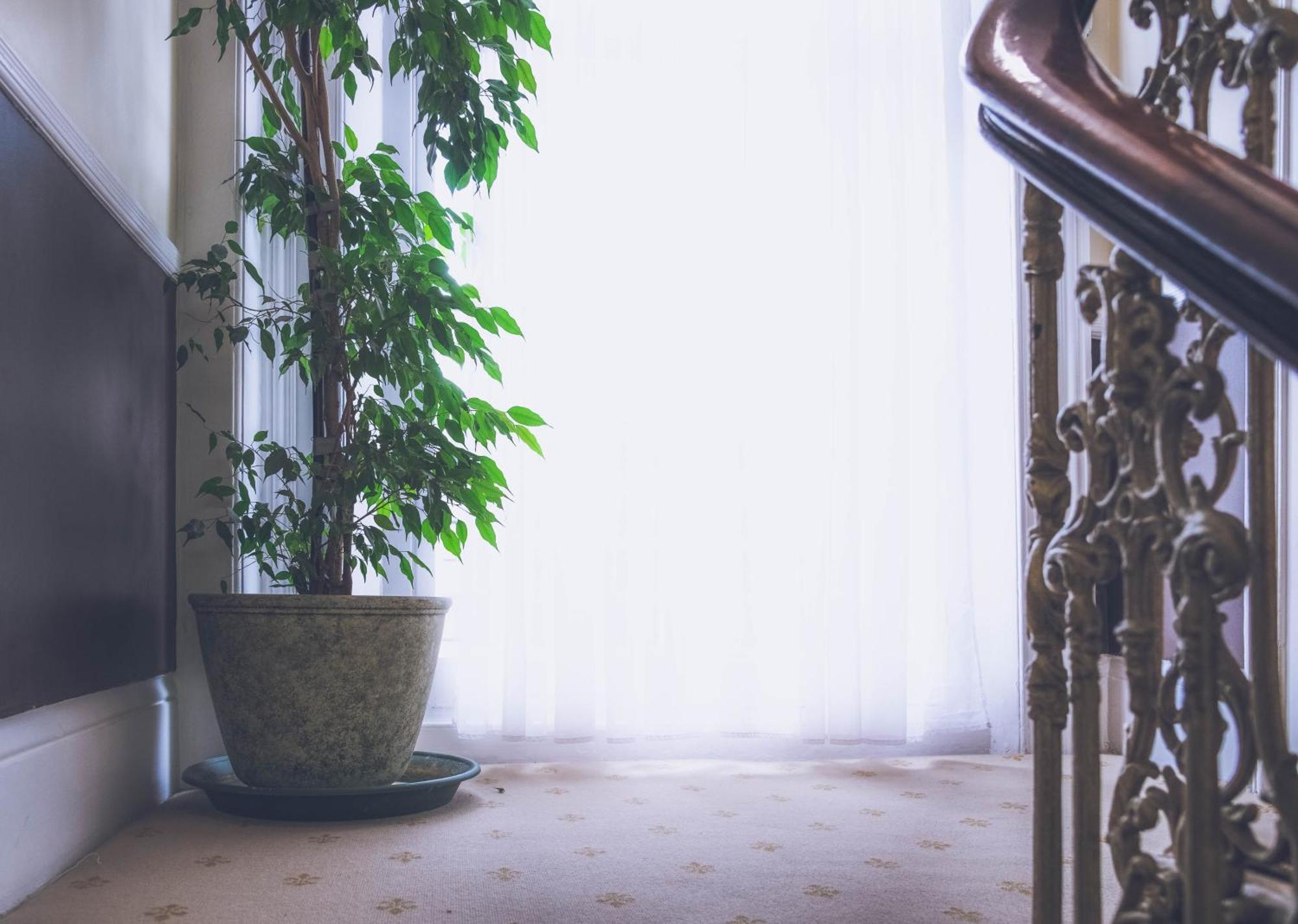 Hotel Shakespeare Londen