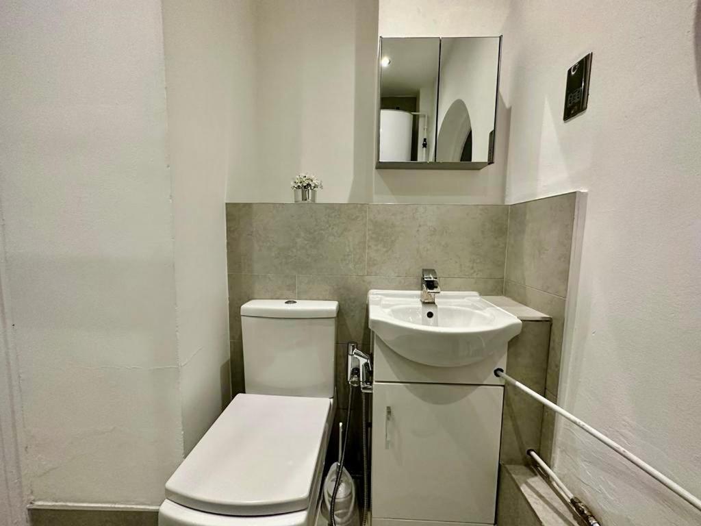 Accommodatie bij particulieren 2 Minutes From Hyde Park, Private F *