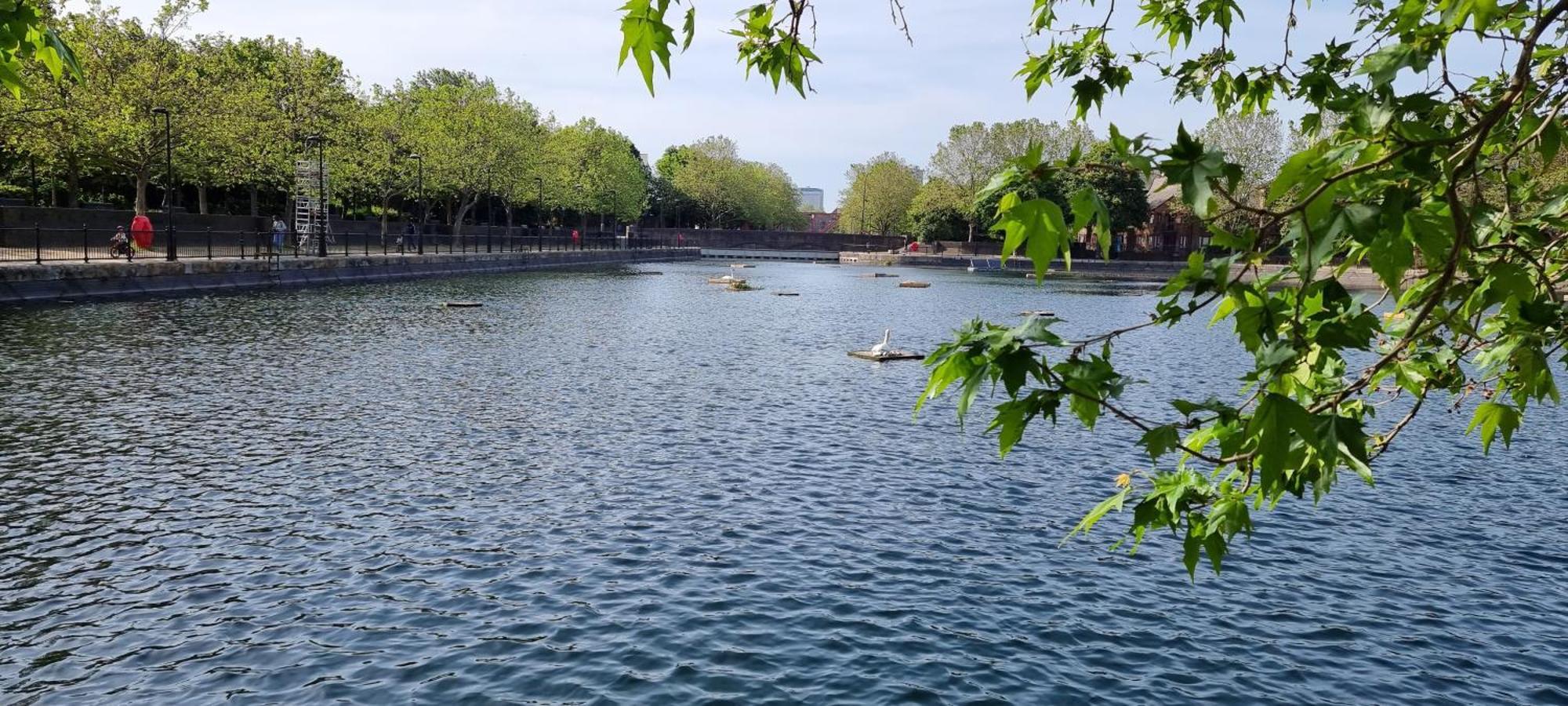 Apartment Riverside 3br With Easy Transport 20mins To Centre