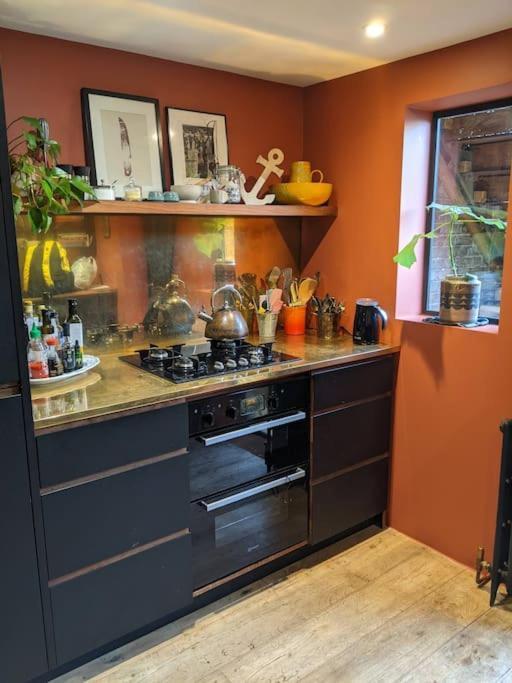 Stylish 1 Bed With Large Plant Filled Garden London
