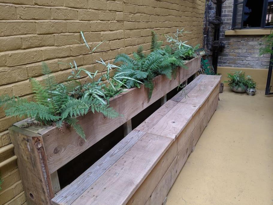 Stylish 1 Bed With Large Plant Filled Garden Apartment