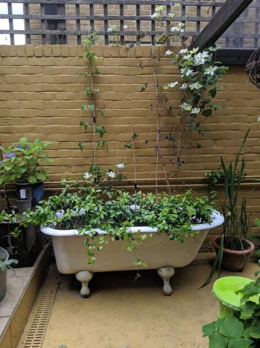 Stylish 1 Bed With Large Plant Filled Garden *