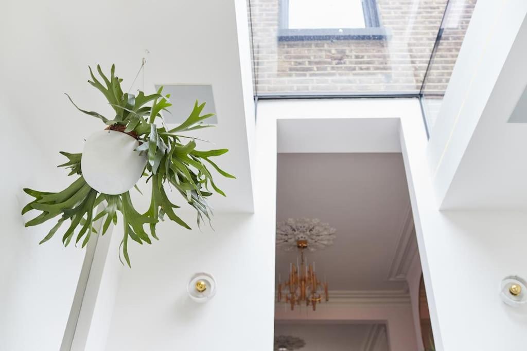 Designer Hackney In Clapton *