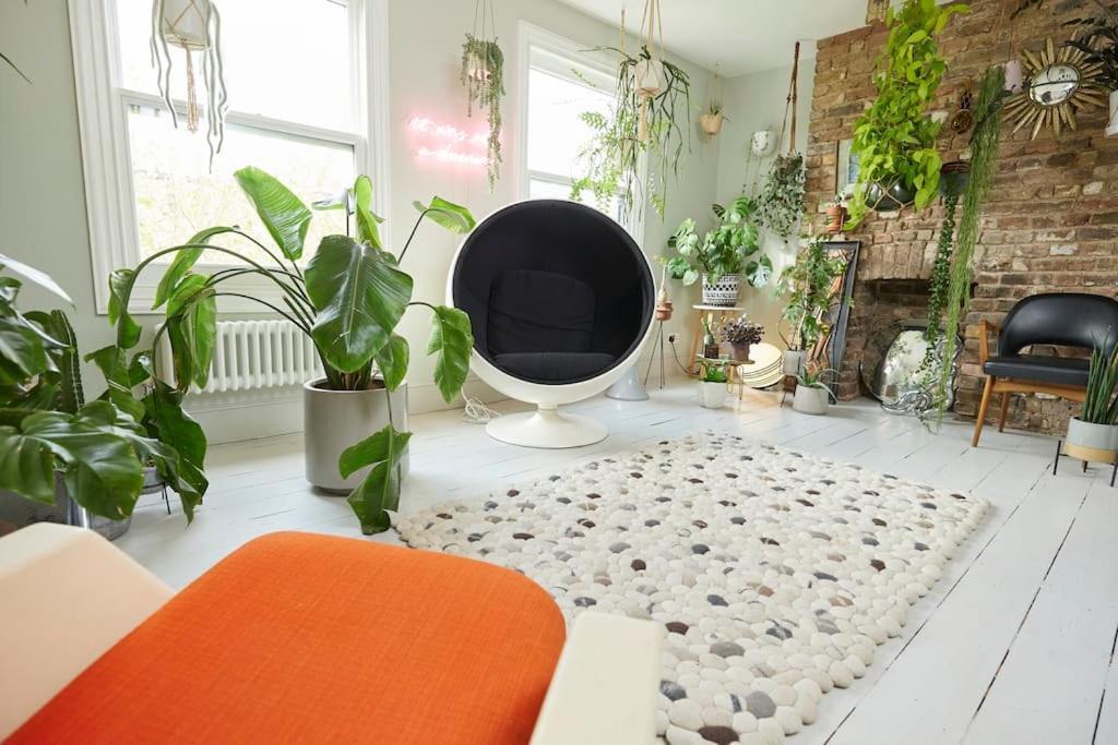 Designer Hackney In Clapton