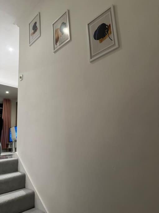 Apartment Entire Flat In Kensington