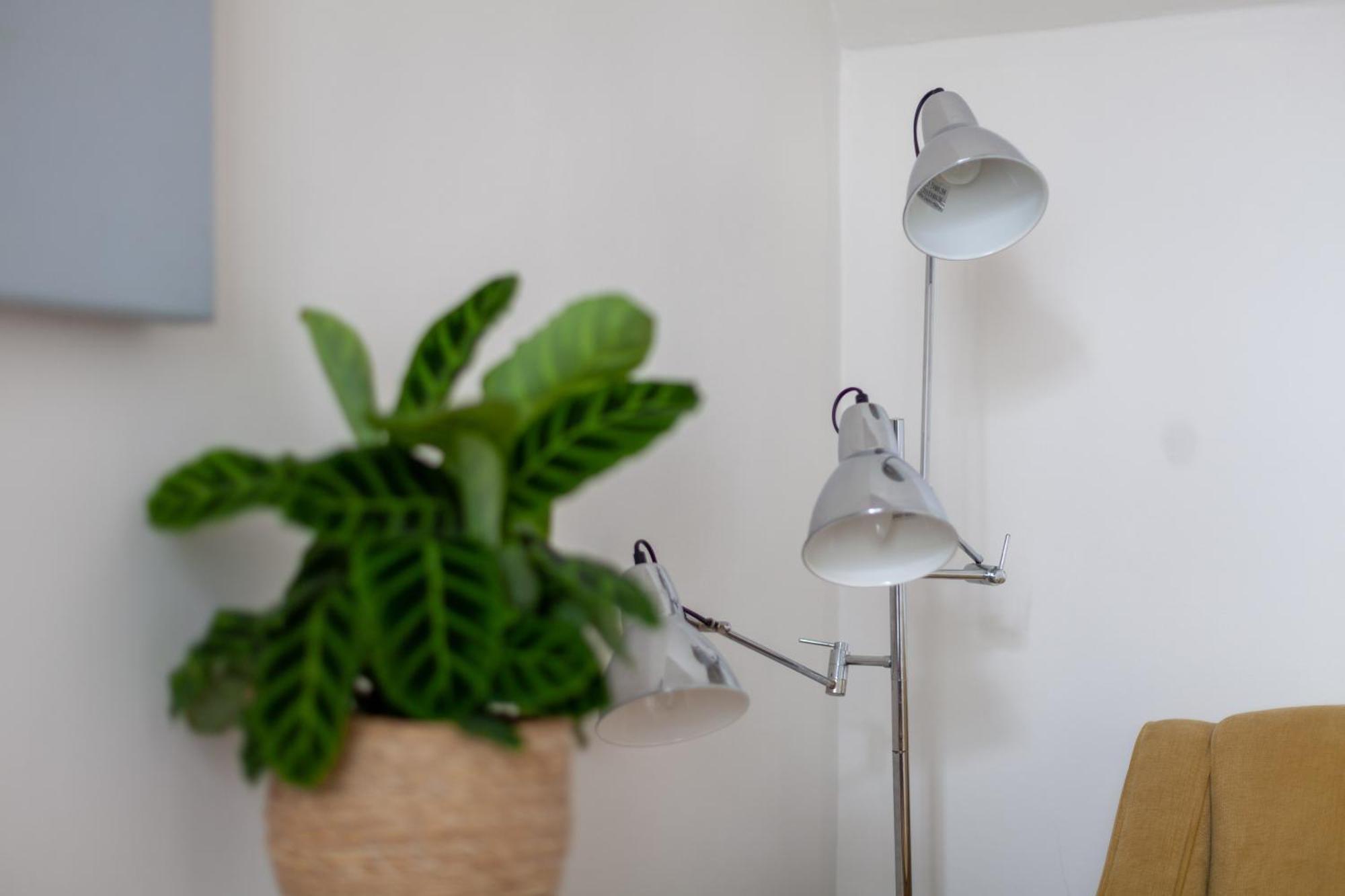 Exceptional Floor 1br In Fitzrovia Apartment