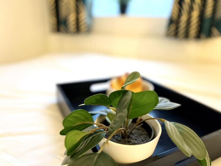 Vakantiehuis Modern 2 Bed Close To Mall With Parking & Garden