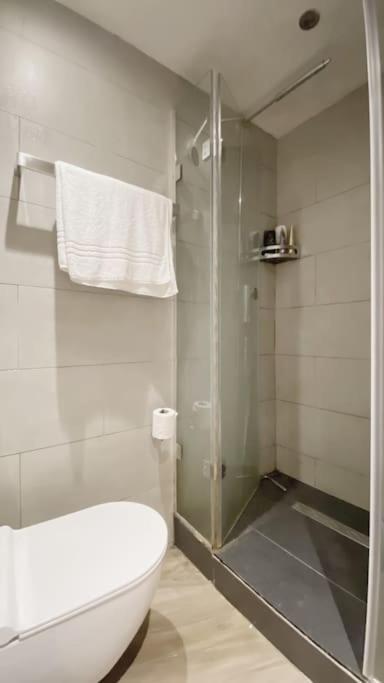 Villa Modern Design 3brs 2f House Close To Victoria London