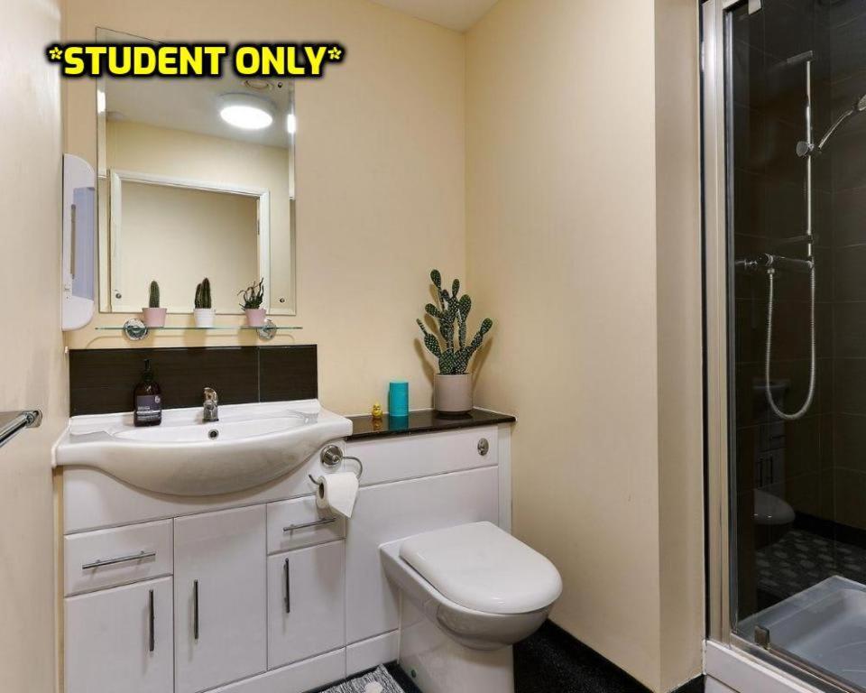 Apartment Student Only Zeni Vauxhall *