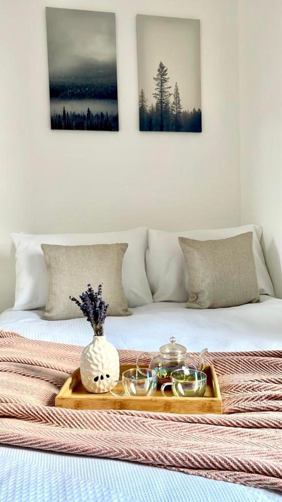 1 Bdr Flat- Harry Potter Themed