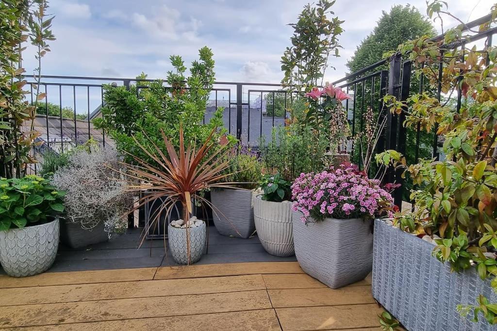 Highgate Maisonette With Roof Terrace Apartment