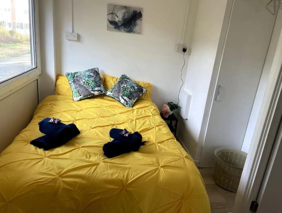 Spacious 2 Bedroom In Hoxton Appartement Londen