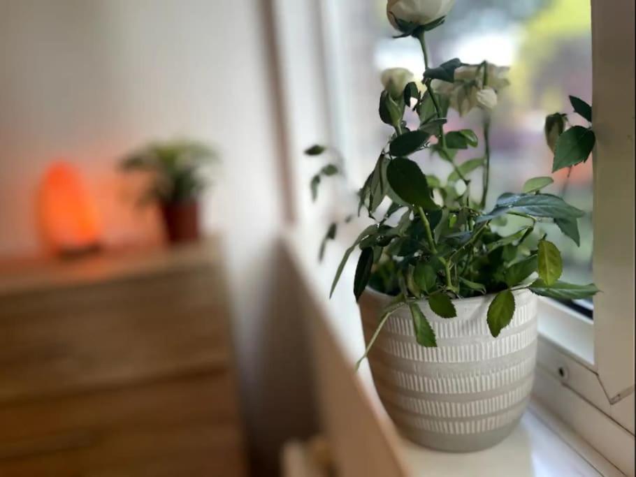 Spacious 2 Bedroom In Hoxton Appartement