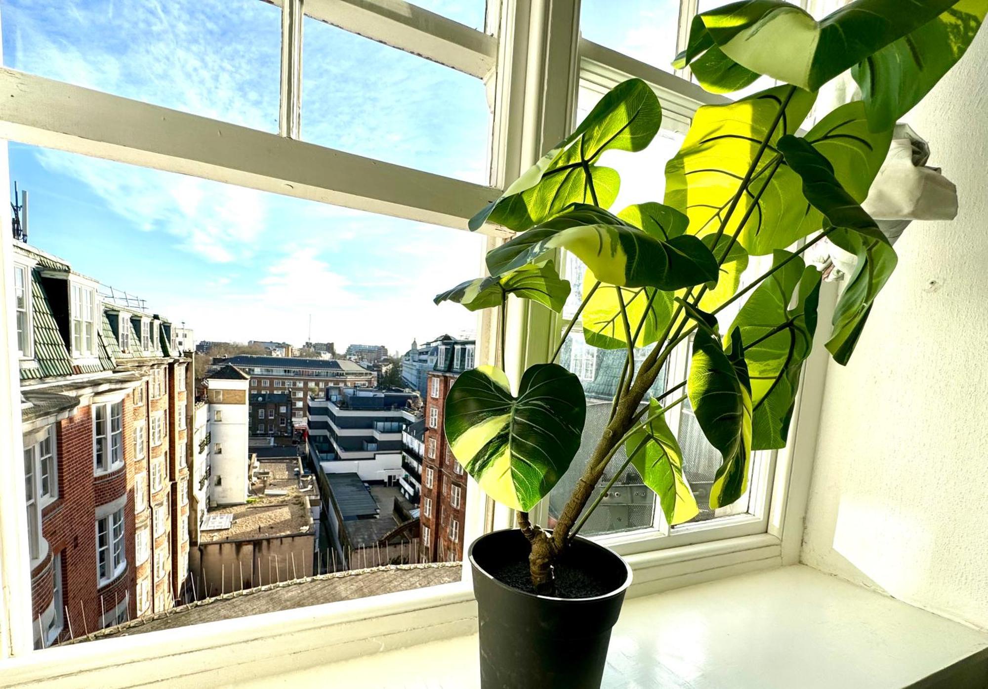 Apartment The Prince's Palace Central Queensway By Wild *
