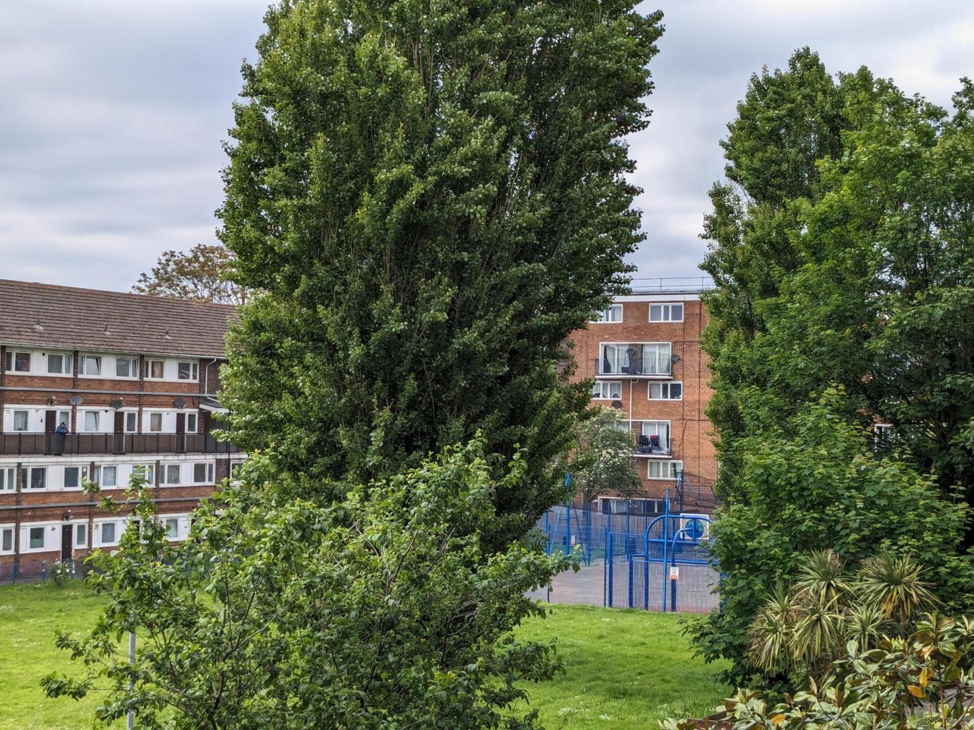 Homestay Creatives' House London