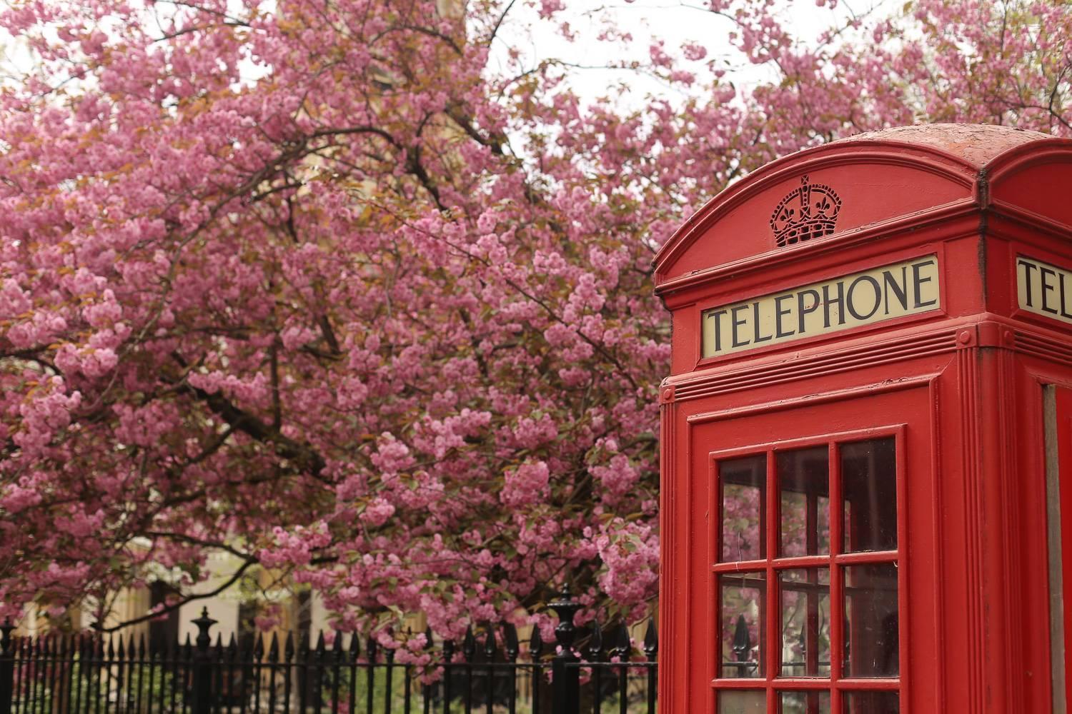 Cosy Flat In * Londen