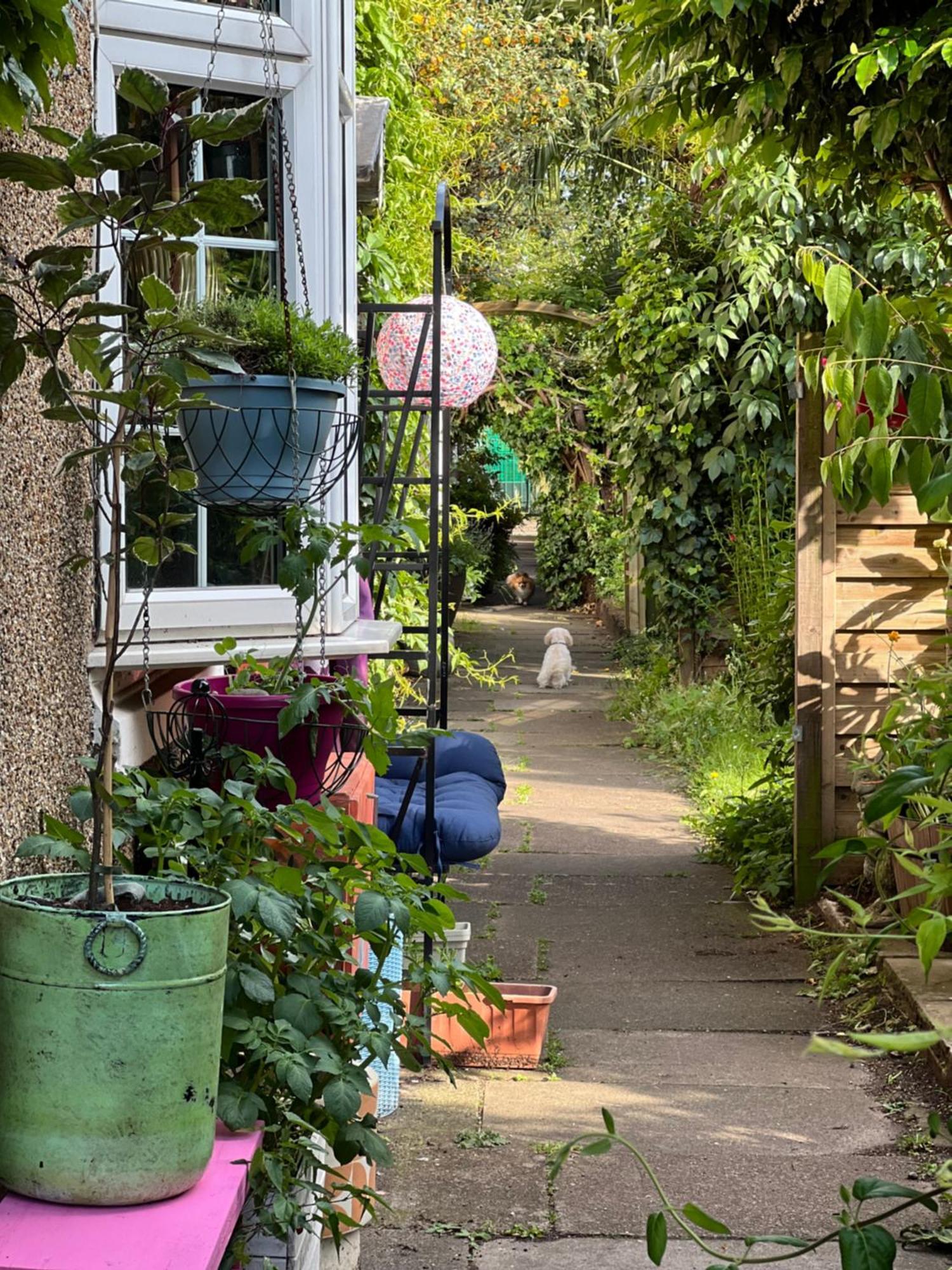 Unique Beautiful Peaceful Conservation Area - 20m To Town * London