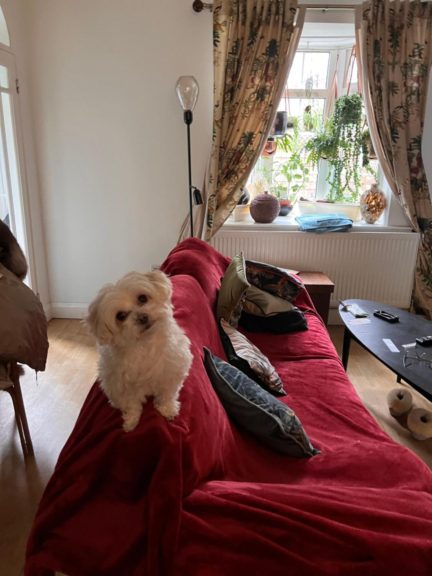 Homestay Unique Beautiful Peaceful Conservation Area - 20m To Town London