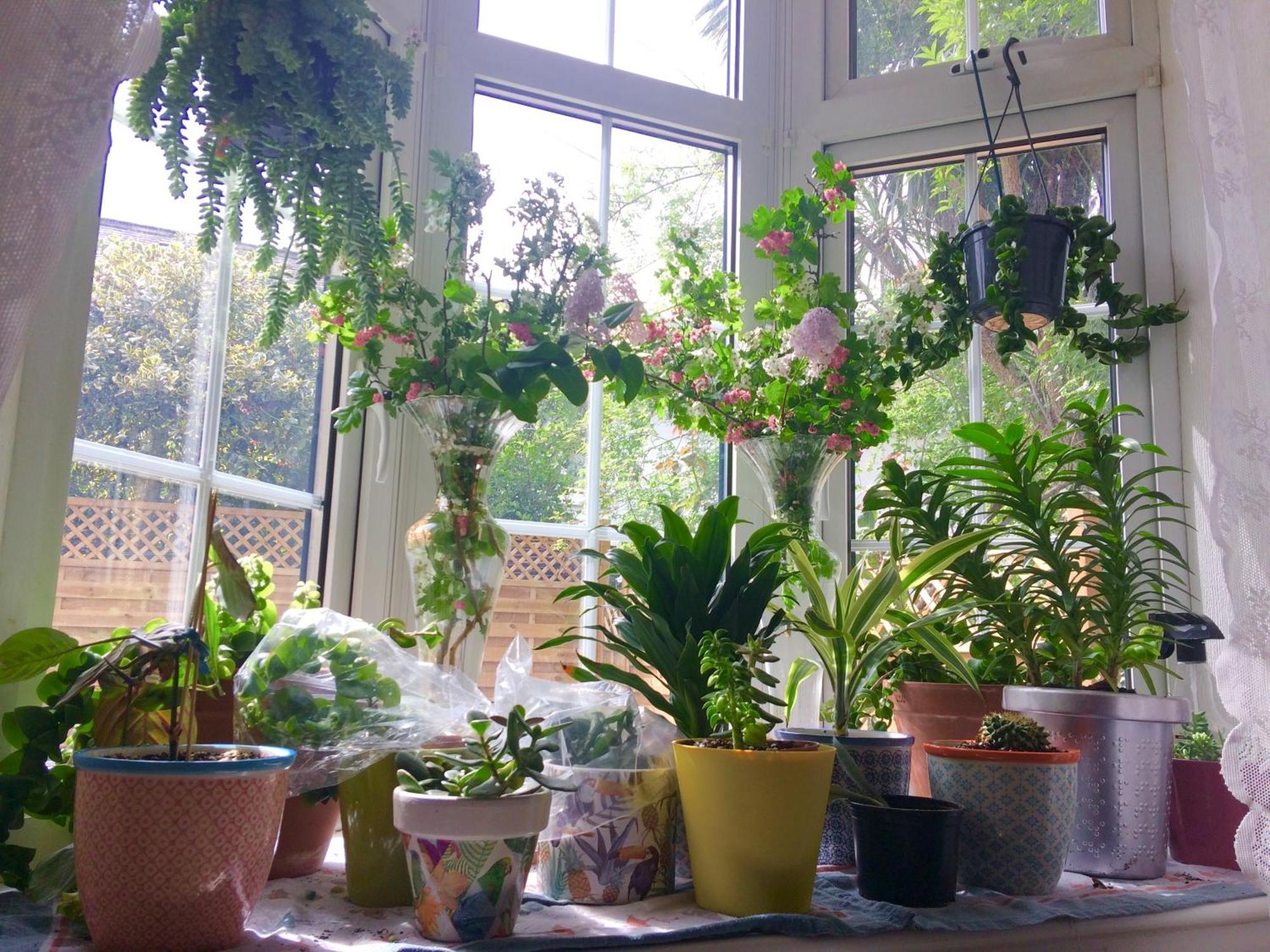 Homestay Unique Beautiful Peaceful Conservation Area - 20m To Town London