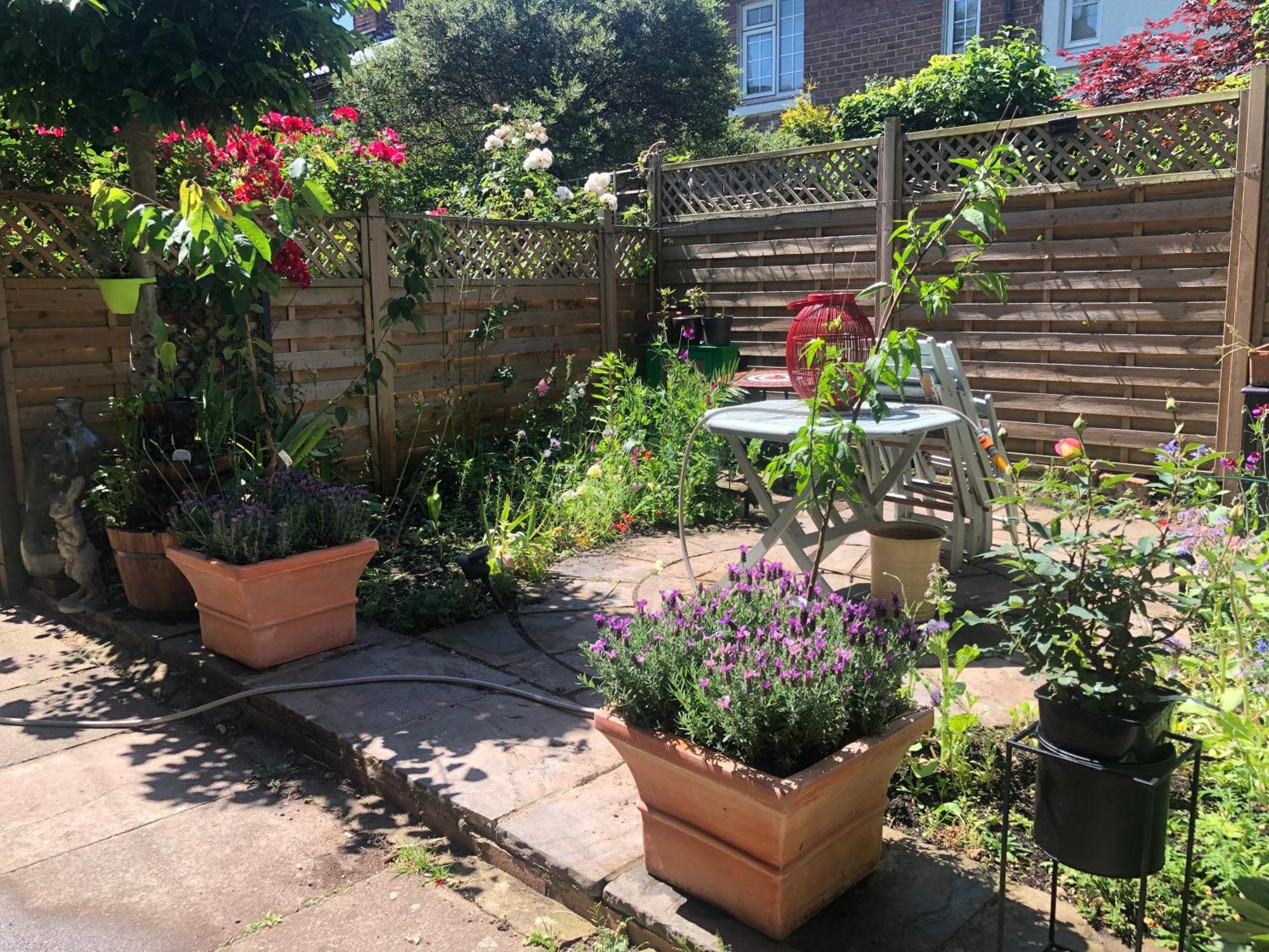 Unique Beautiful Peaceful Conservation Area - 20m To Town Homestay *
