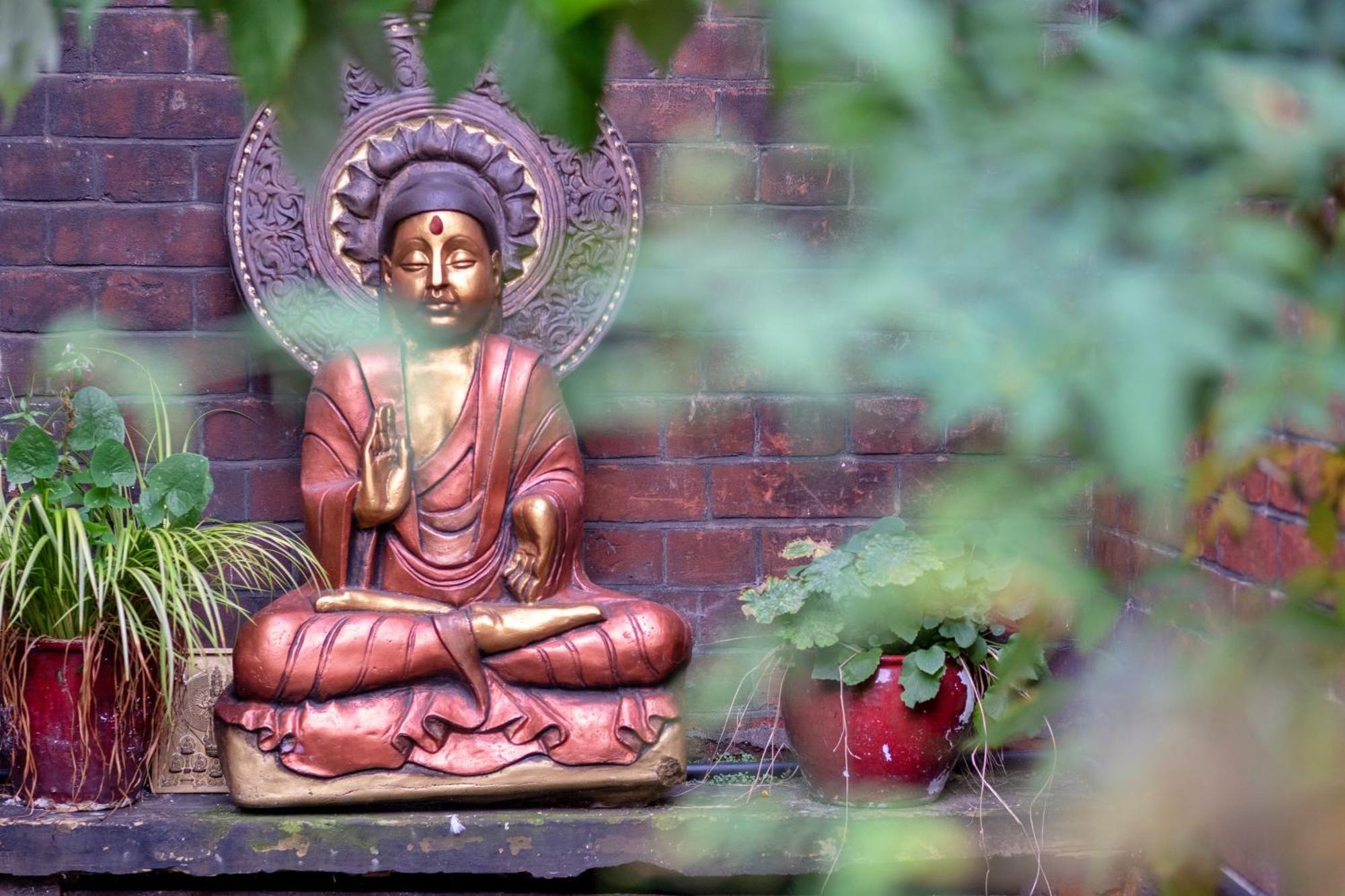 Lotus Guest house