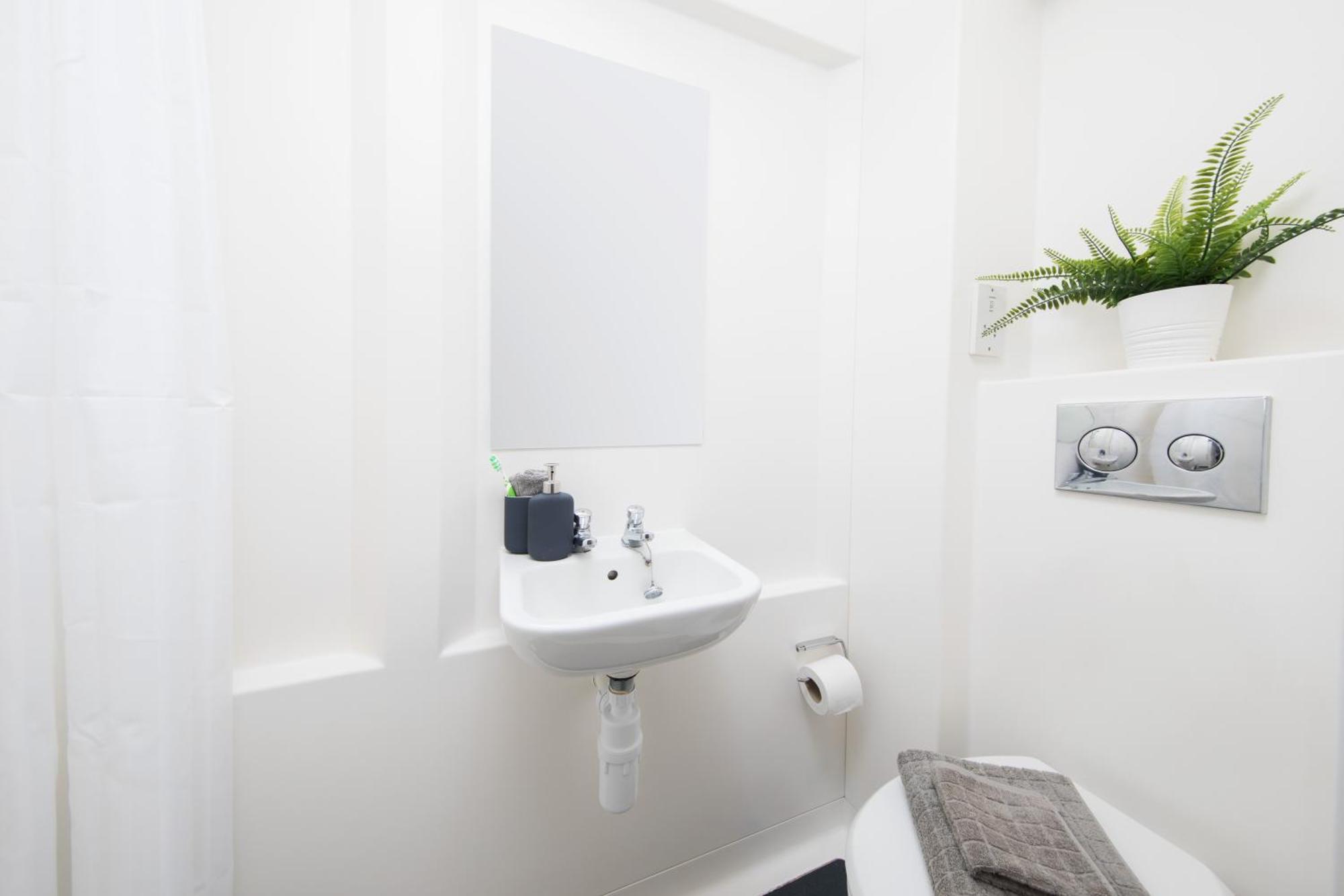 Student Only With Modern Kitchen And Bath *