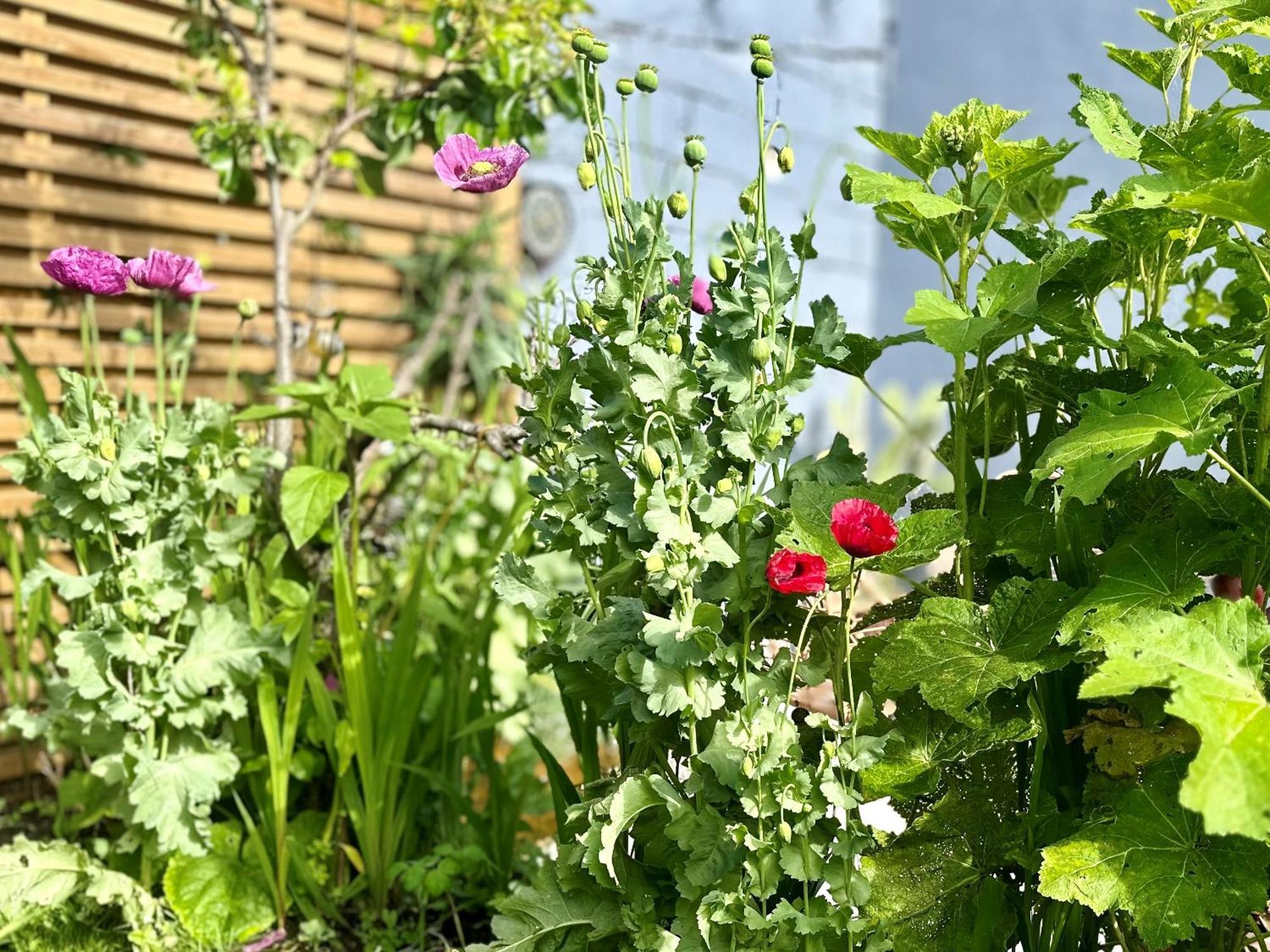 Garden Flat. Tottenham Hale. 20mins2central Londres