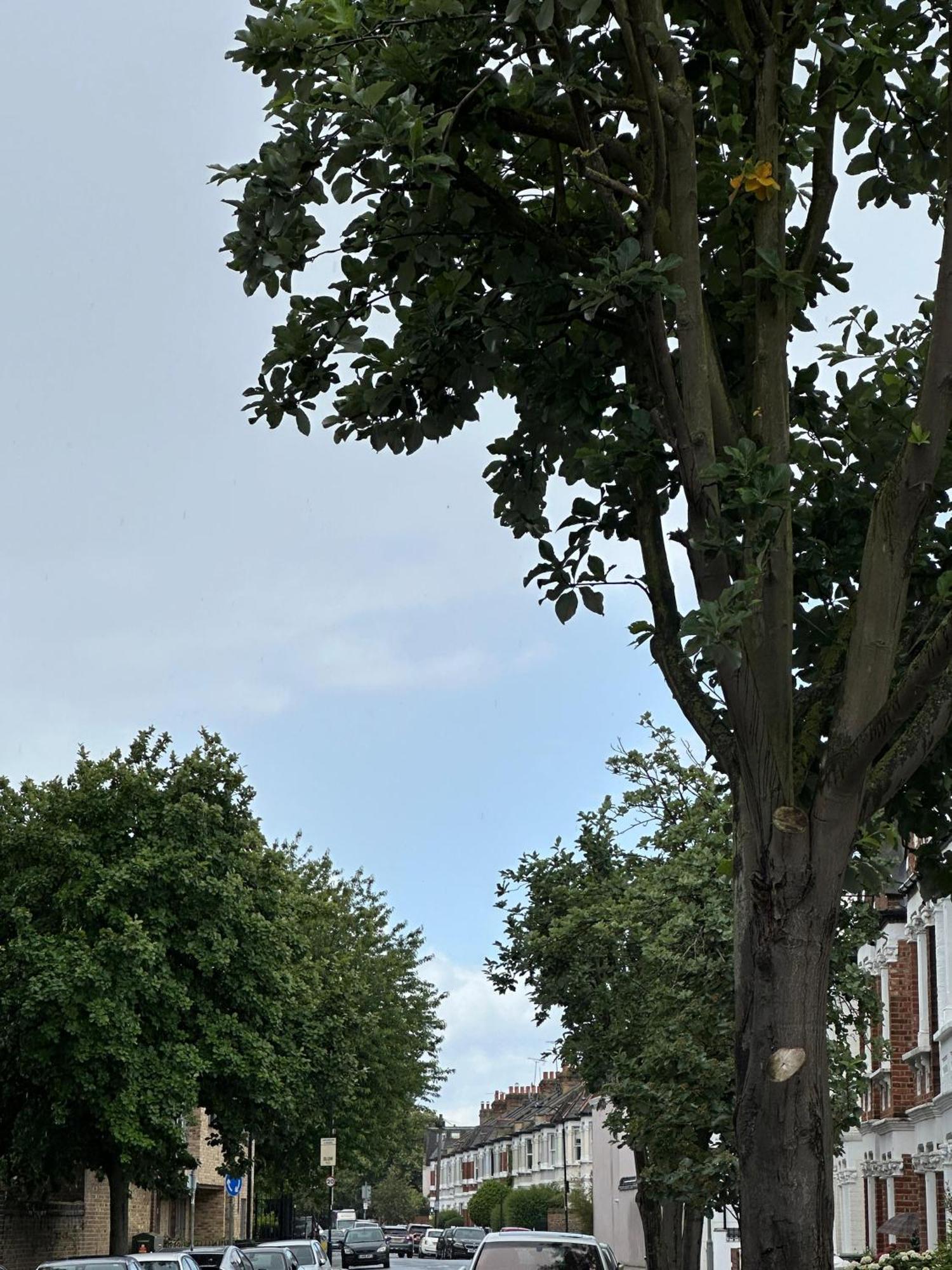 Apartment Budget 2 Bedroom Close To Hyde Park *