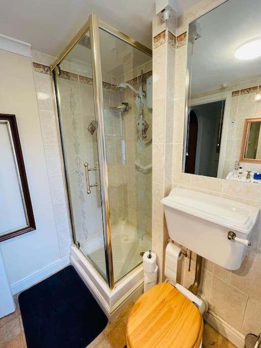 Central Shared Flat Apartment London