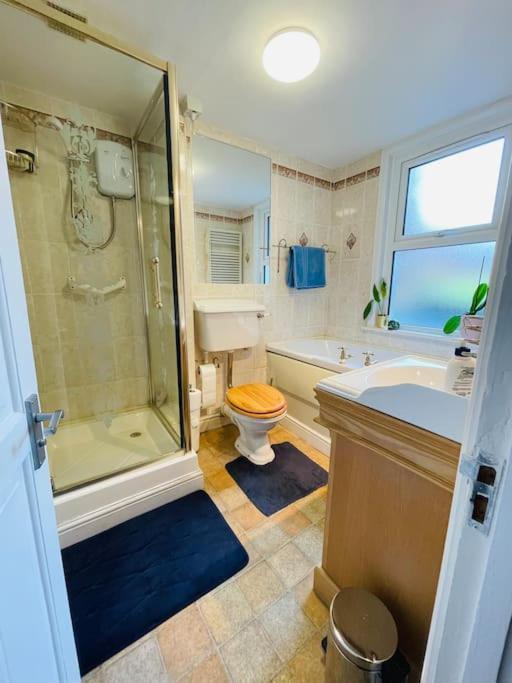 Central Shared Flat London
