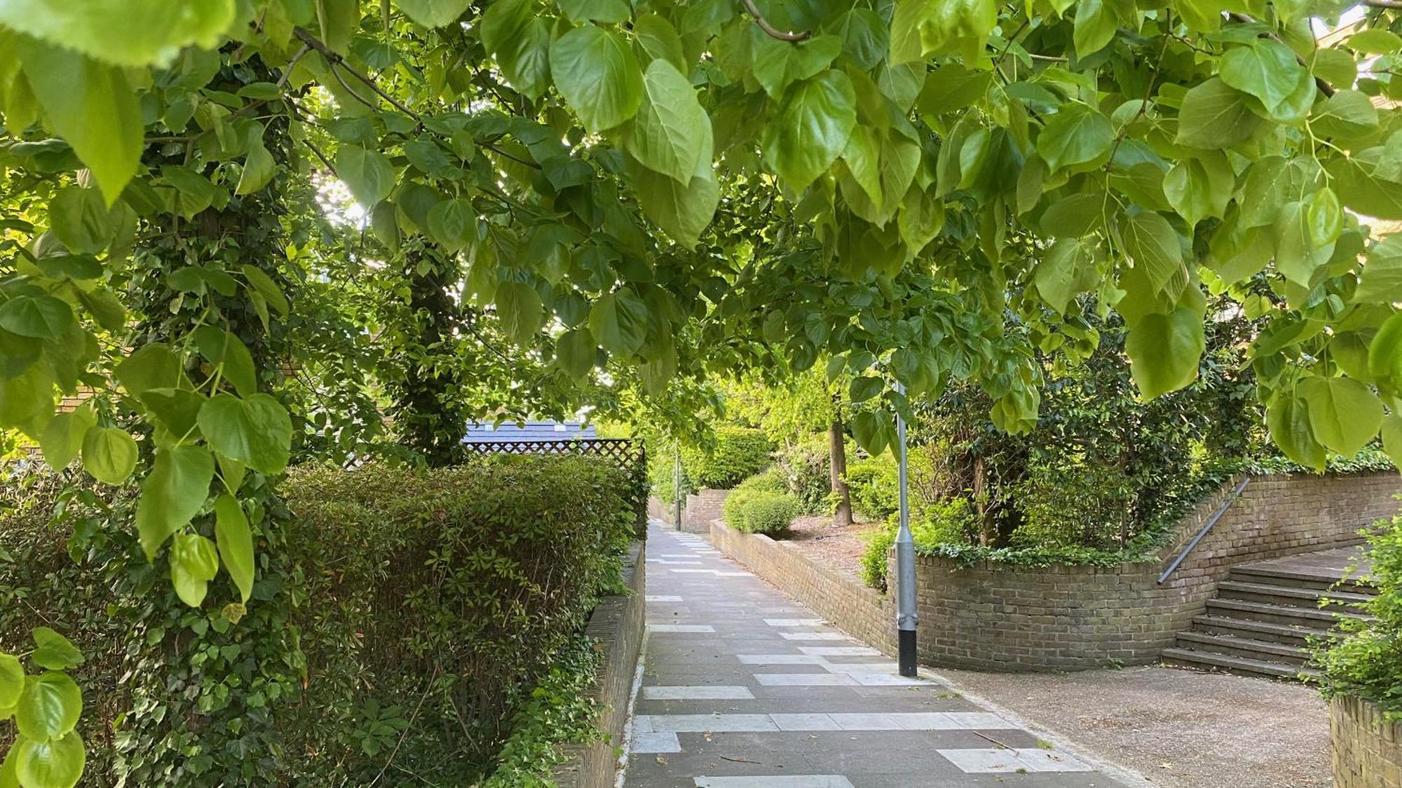 Cosy 1-bed Flat Family Friendly Free Parking Apartment