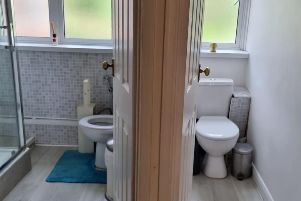Entire Flat In Alexandra Palace London