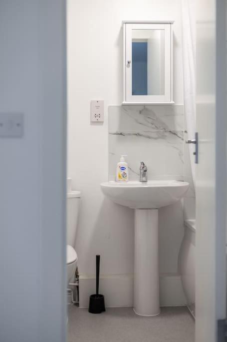 Apartment Modern Semi-studio Flat In Historic Setting *