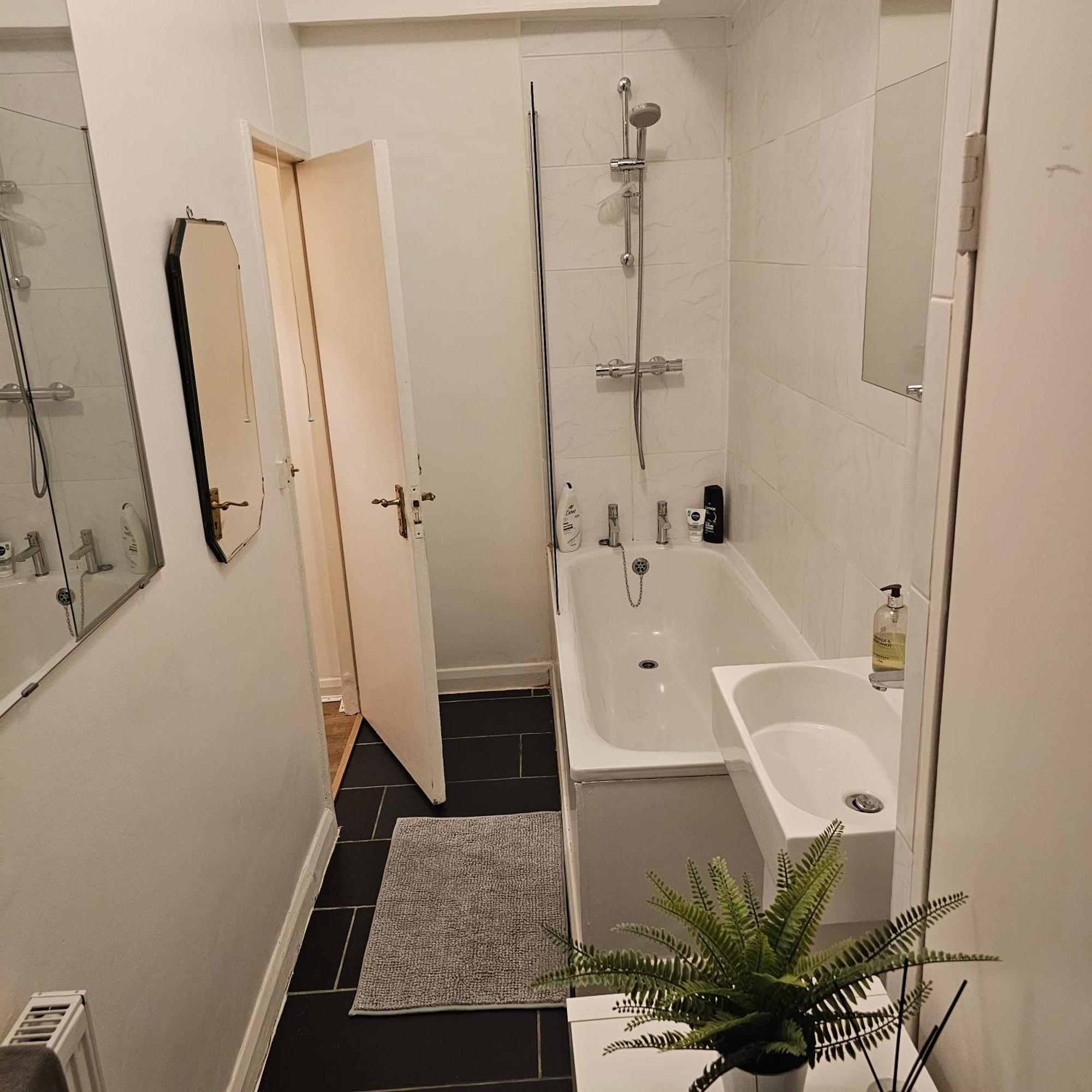 Spacious Flat In London