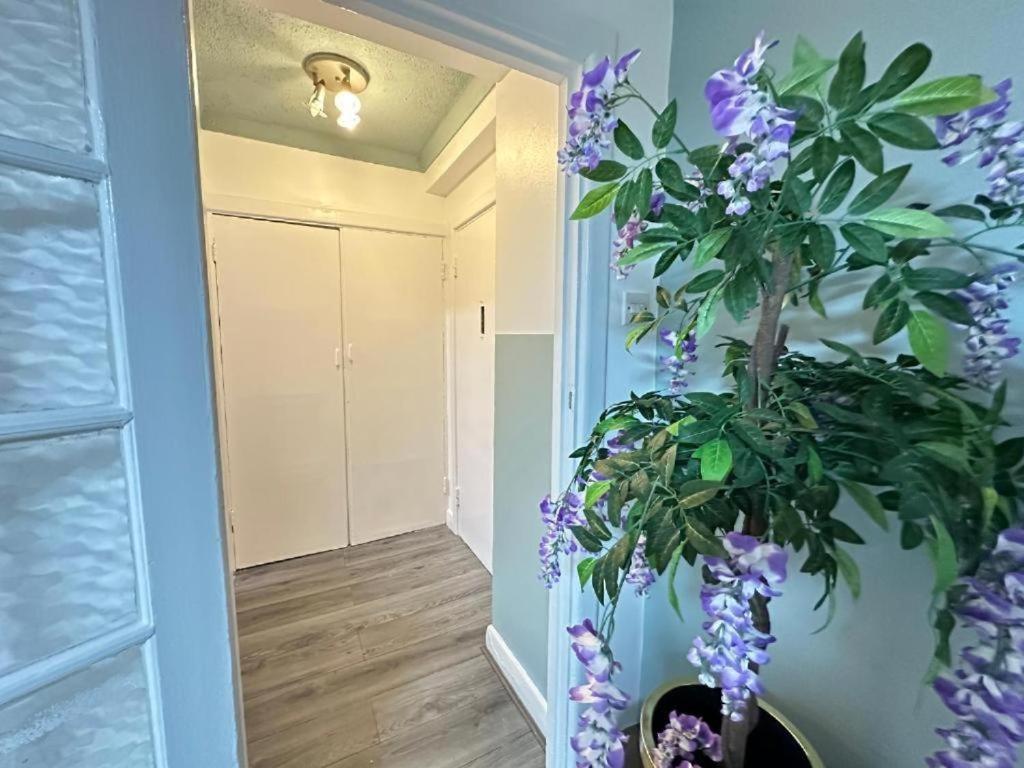 Beautiful Studio Edgware Road Apartment *