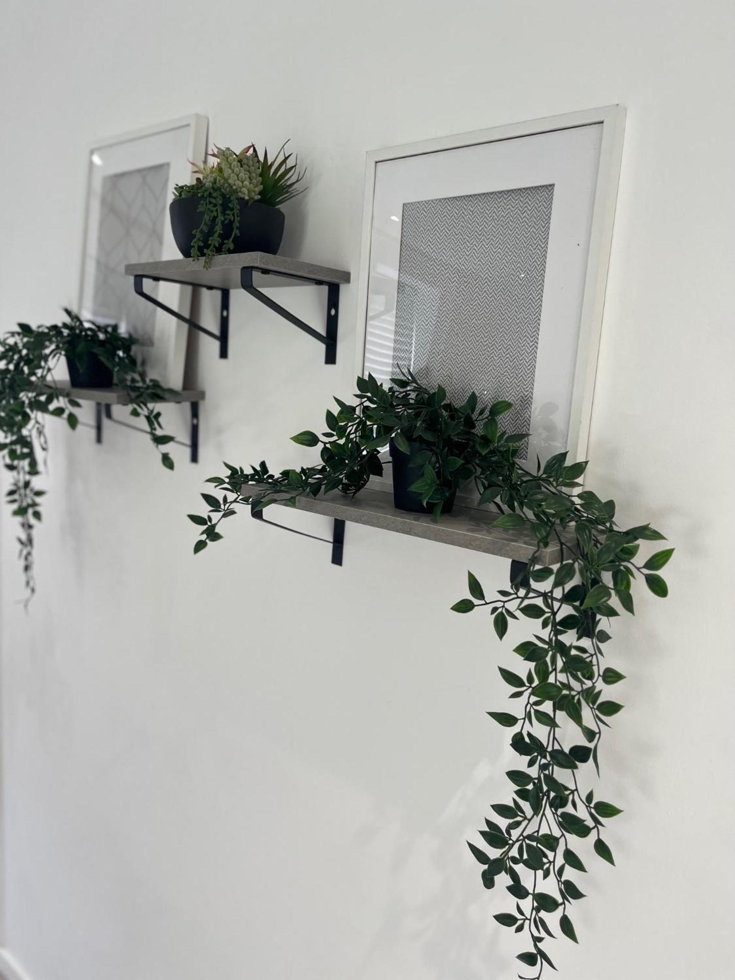 Terrace Paddington W2 Apartment