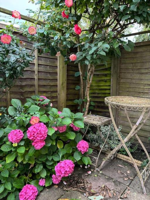 Cozy 1-bedroom In Turnham * London