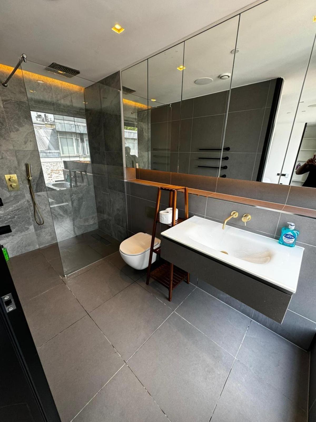 Appartement Shoreditch 3 Bed 2 Bath Large Terrace & Park View