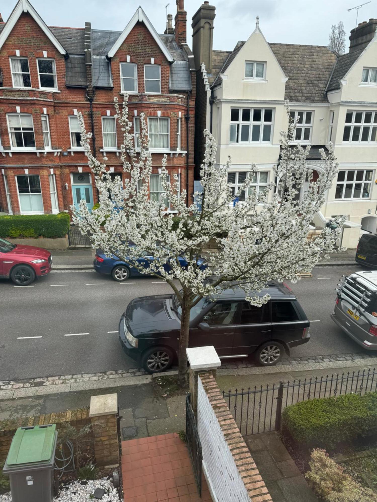 Venlo * London