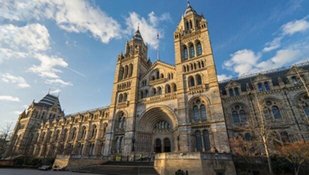 1-bed Apartment, Close To Kensington Olympia With Free Wi-fi & Netflix Apartamento Londres