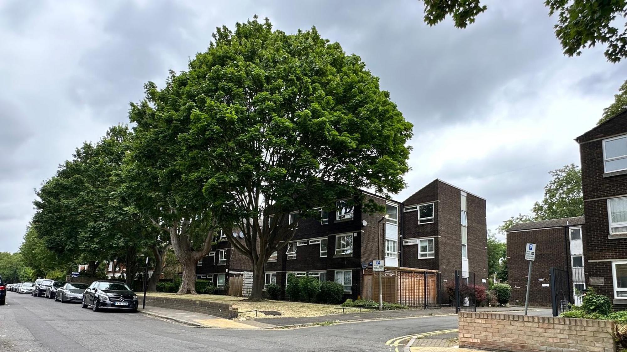 Apartment Newly Refurbished ,chic, Attractive 3 Bedroom Flat