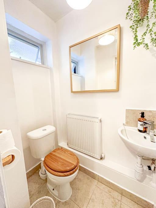Oasis Split Level Flat In Zone 1