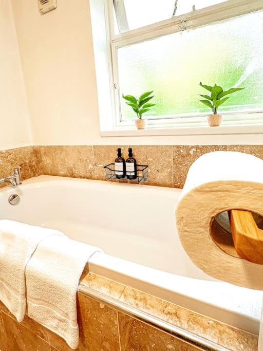 Oasis Split Level Flat In Zone 1 * London
